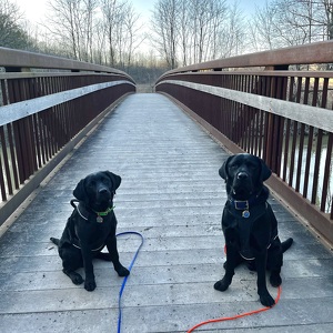 Fundraising Page: Jill Robinson